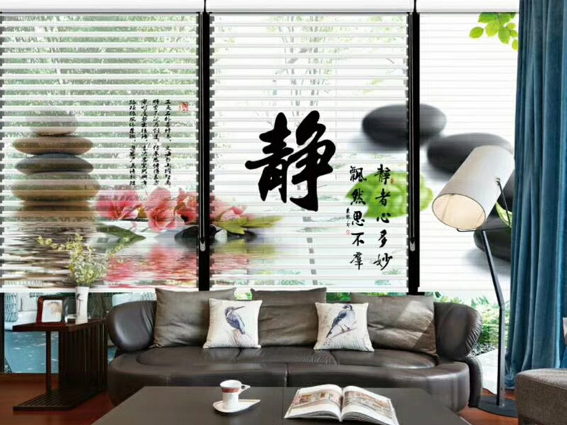 成人91视频APP