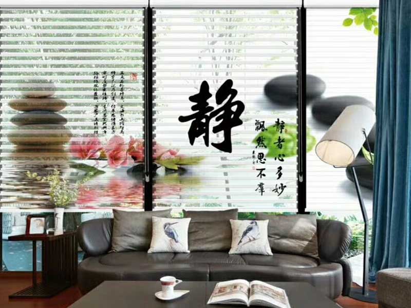 成人91视频APP